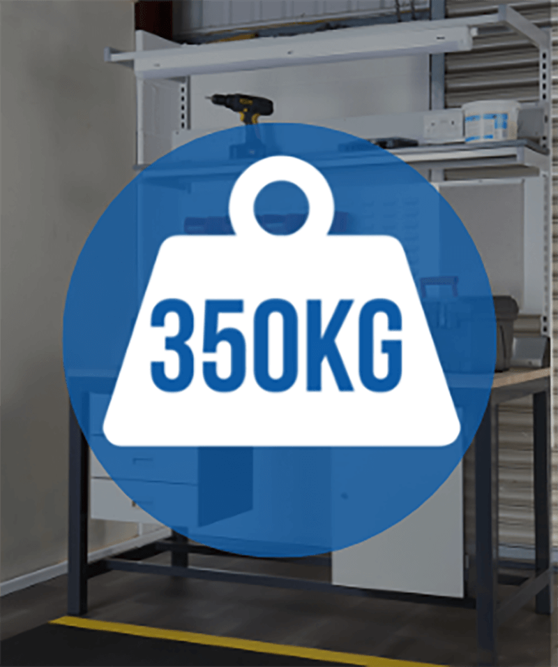 350kg weight capacity